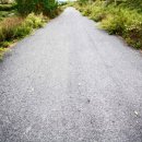 대안실업 이미지