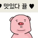 새롬정육 이미지