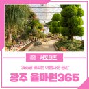 광주율마원365 이미지