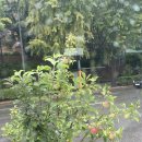 덕동폭포집 이미지