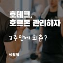 호테크 이미지