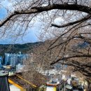 개금2동-19 이미지