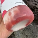 어니스트제주 | [제주] 동쪽 성산 어니스트밀크 카페 요거트 맛집 내돈내산 재방문후기