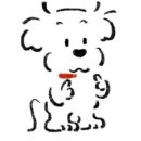 광장동물병원 이미지