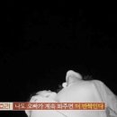 산토리니민박 이미지