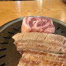 맛난 고기 이미지