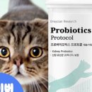 (주)페피테일 이미지