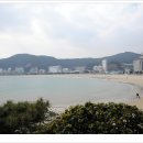 죽도공원 티스토리