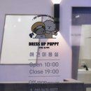 퍼피살롱 이미지