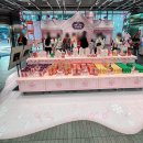 비비스토어 | 비비랩 홍대 팝업스토어 12월 올리브영 코스