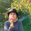 연진농장 이미지