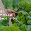 뜬금부엌