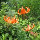 복장리 경로당 이미지