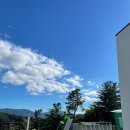 개팔상팔 이미지