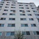 구로-현장-구로-521 | 부천 소사로 해주2차 아파트 방충망 교체 │ 고양이망 블랙스텐 시공 후기 (특대사이즈)