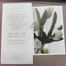 샘플청첩장 후기(바른손, 보자기, 잇츠카드, 카드마켓)