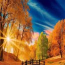 선근이네 이미지