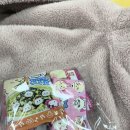에프씨앤씨 | 별거업음마라탕먹고씨앤씨가고춤추는일주일