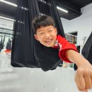 품태권도장 이미지