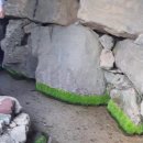 종완농장 이미지