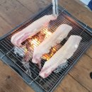 전북 완주 펜션 소나무정원펜션 아이와 완주풀빌라 숙소 수영장펜션 후기