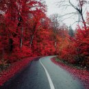 제철 집밥요리 이미지