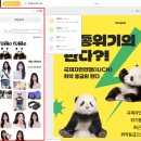 망고디자인 이미지