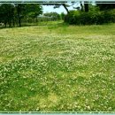 달미공원 이미지