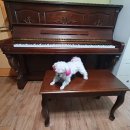 광산구-121 이미지