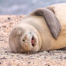 건강힐링카페 이미지