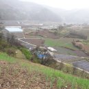 덕산면043 Daum카페