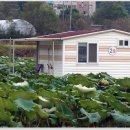 포인트낚시터 이미지