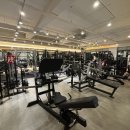 힙프로짐 이미지