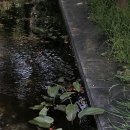 3.15아트 센터 앞 이미지