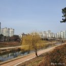 풍영정천길 | 걷기 좋은 마을 ) 풍영정천 산책로를 걷다