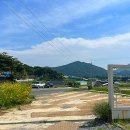 [울산 데이트] 울산 근교 주차가능한 울산역 근처 감성카페 고고당 티하우스 추천