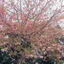 회수동-7 이미지