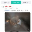 아이스컵 밑부분을 잘라 커피찌꺼기 거름망 만들기 이미지