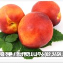 명성 행정사 사무소 이미지