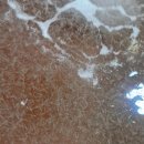 보리수산 이미지