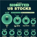 미국에서 가장 공매도가 많은 주식 (2023년 가을) 이미지