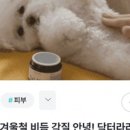 라라기획