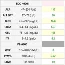 고척 원 동물의료센터 이미지