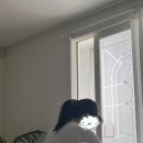 삼타이 노래연습장 | 대구여행 2일차♬ 스파크랜드 공중그네 타보신분 후기좀