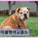 에이블영어교습소 - 영등포구 대림로8길 17 | 에이블영어교습소