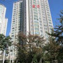 부개종합동물병원 이미지