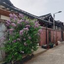 메이드인북촌 이미지
