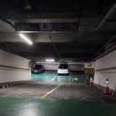 스튜디오 오브 | 화정 프로필 사진 스튜디오 오브시아 대만족 후기