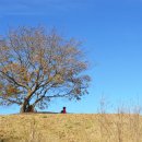 등마루공원 이미지