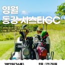 동강시스타 이미지